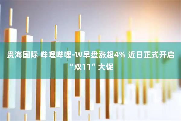 贵海国际 哔哩哔哩-W早盘涨超4% 近日正式开启“双11”大促