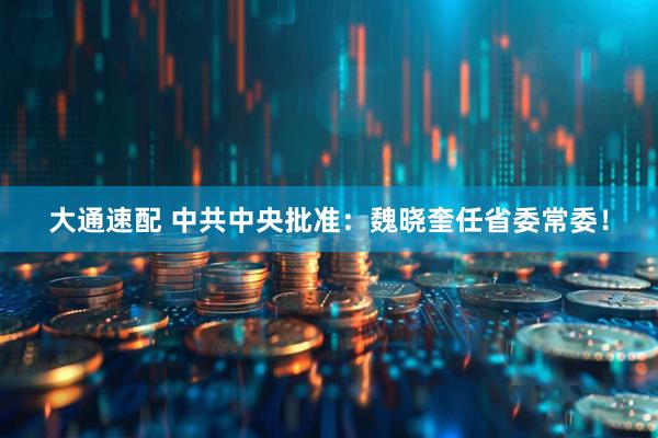 大通速配 中共中央批准：魏晓奎任省委常委！