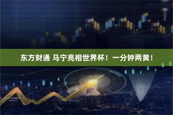 东方财通 马宁亮相世界杯！一分钟两黄！
