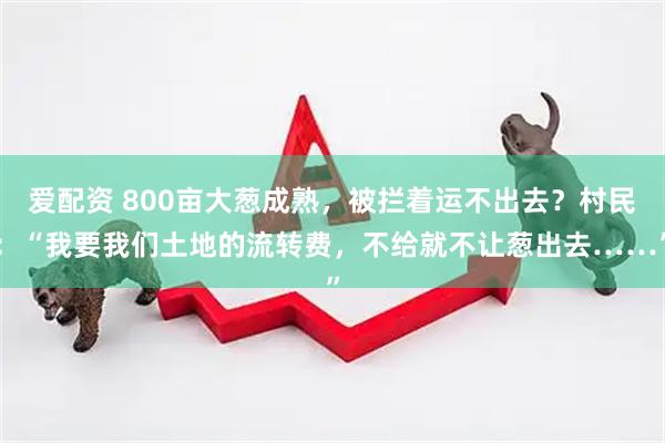 爱配资 800亩大葱成熟，被拦着运不出去？村民：“我要我们土地的流转费，不给就不让葱出去……”